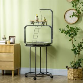 Parrot Stand /Parrot Perch ( Amazon Shipping)(Prohibited by WalMart)